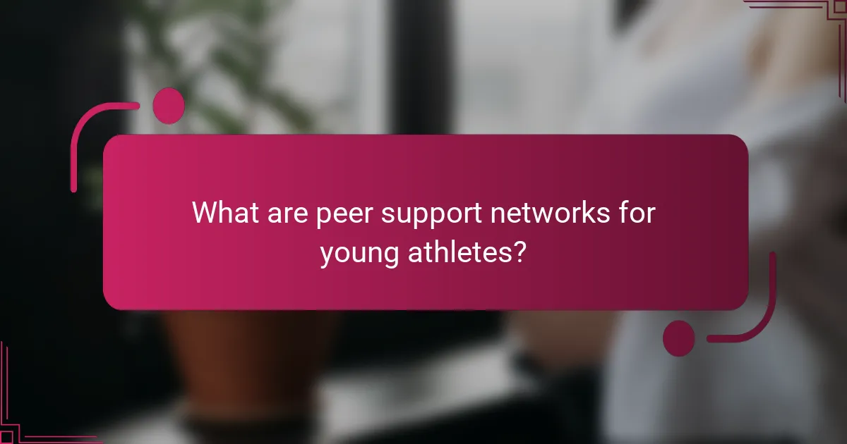 What are peer support networks for young athletes?
