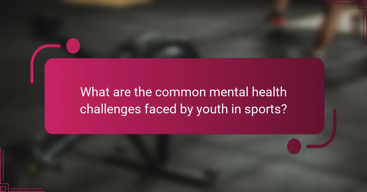 What are the common mental health challenges faced by youth in sports?