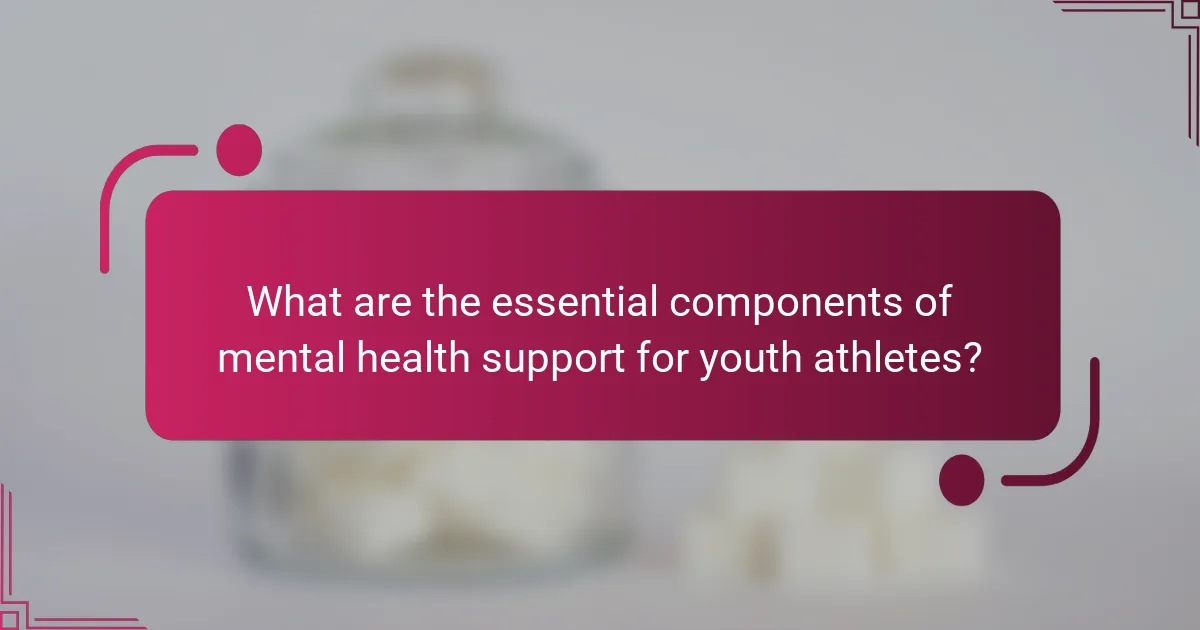 What are the essential components of mental health support for youth athletes?