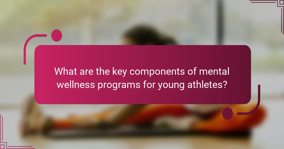 What are the key components of mental wellness programs for young athletes?