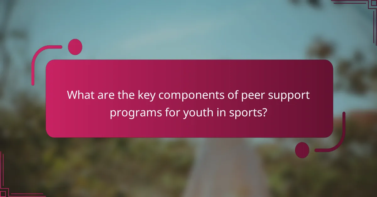 What are the key components of peer support programs for youth in sports?