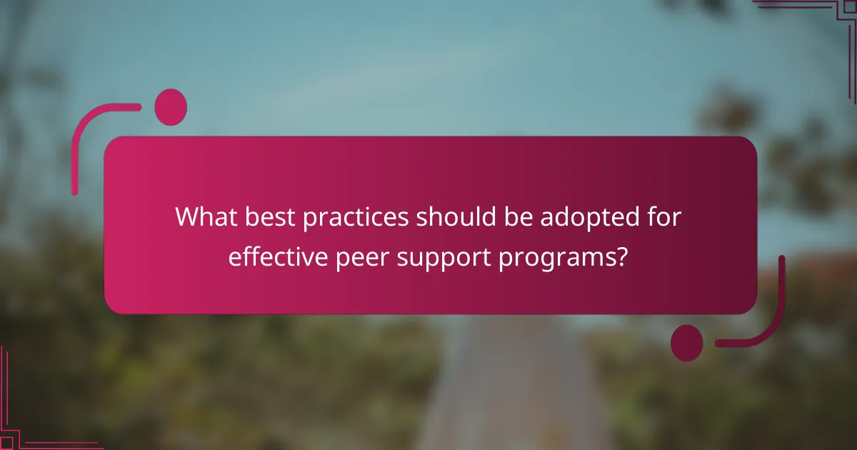 What best practices should be adopted for effective peer support programs?
